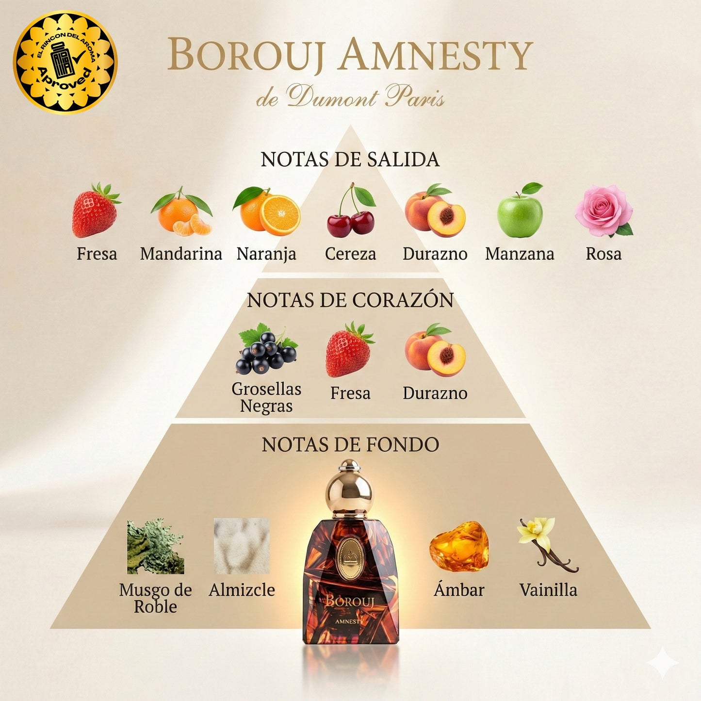 Dumont Borouj Amnesty
