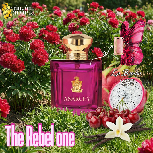 King Of Kings Anarchy Rebel one