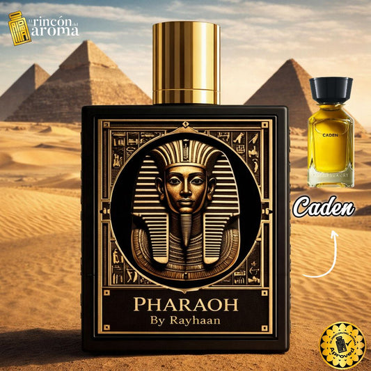 Rayhaan Pharaoh( PRE-VENTA)