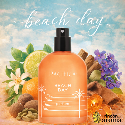 Pacifica Beach Day